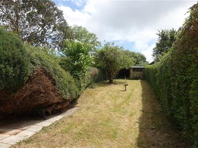 Picture 4